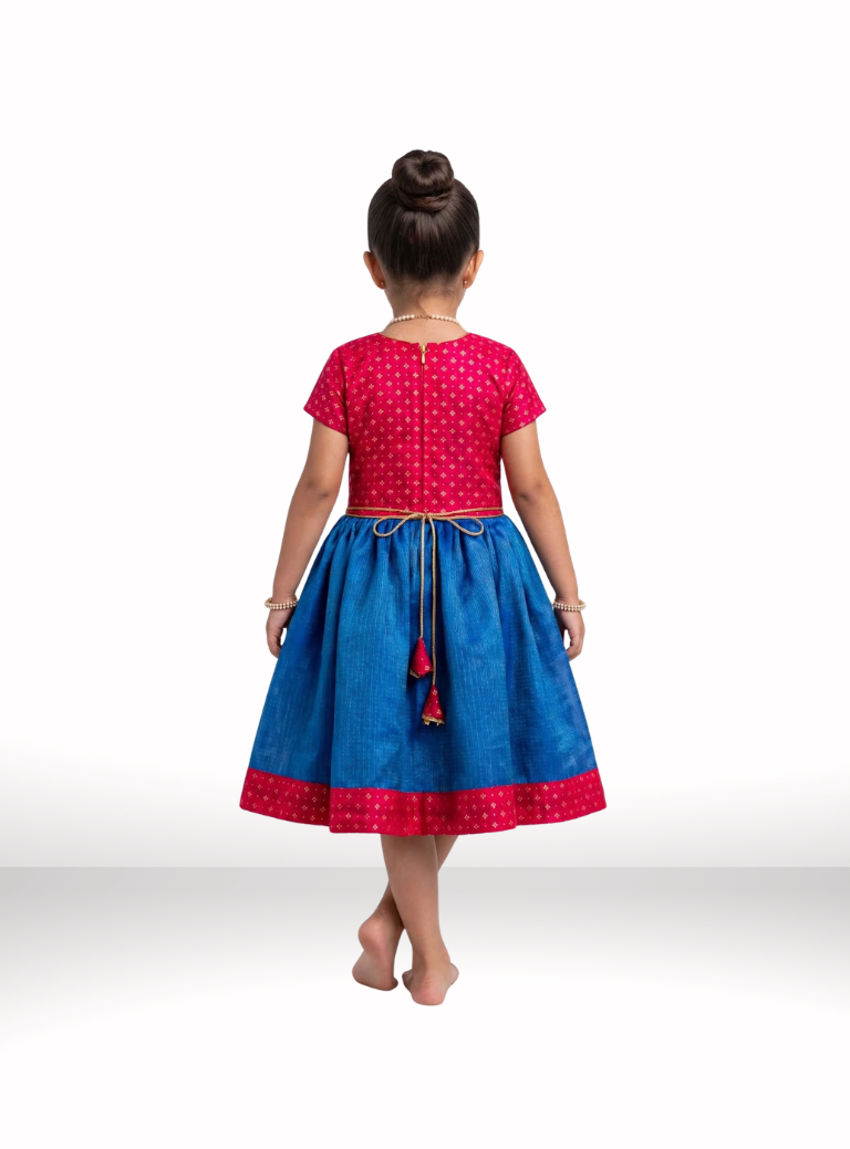 Blue Kotta Silk Flared Dress With Scarlet Brocade Silk Bodice
