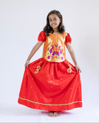 Premium Red Banaras Ghagra With Gold Paithani Choli