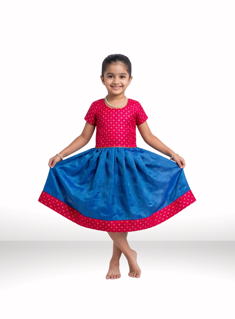 Blue Kotta Silk Flared Dress With Scarlet Brocade Silk Bodice
